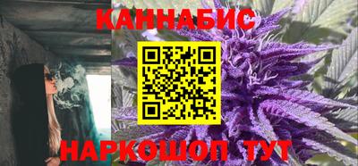 гашик Аргун