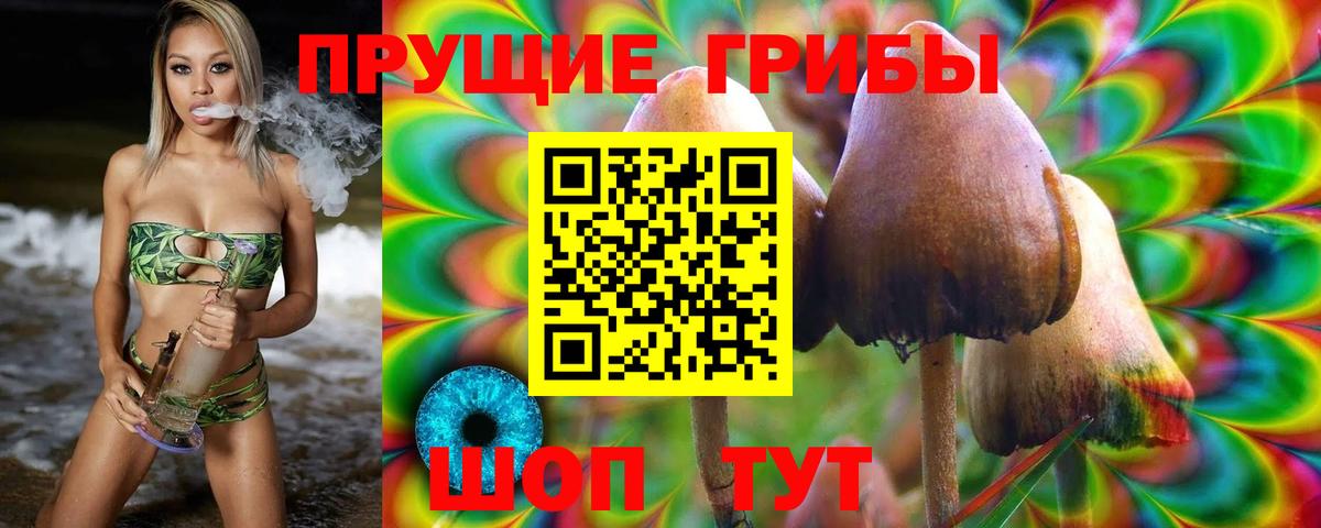Беслан  Галлюциногенные грибы MAGIC MUSHROOMS  Псилоцибиновые грибы Psilocybe  Вход с VPN 