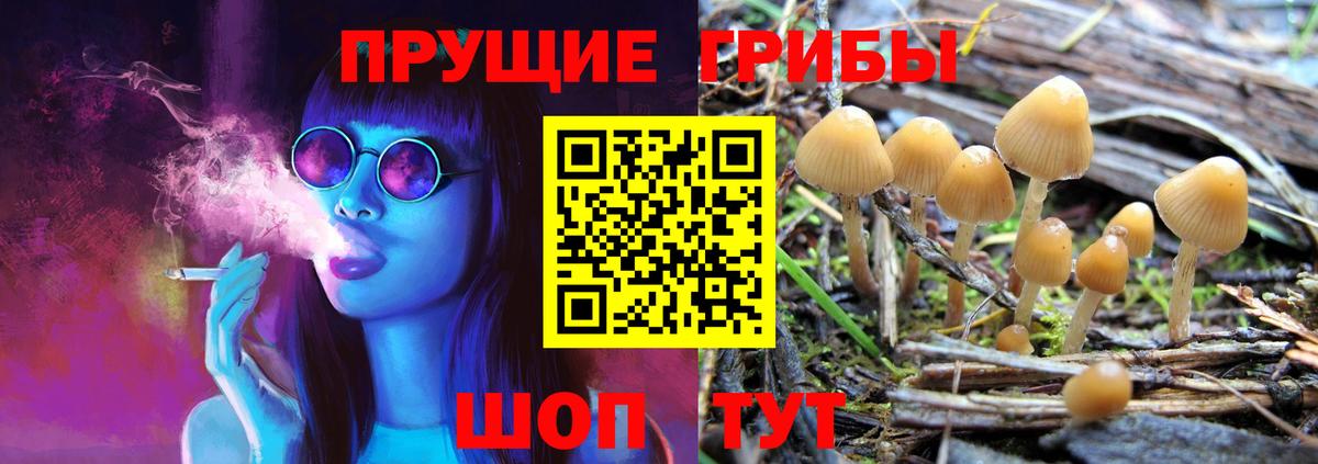МЕФ Беслан